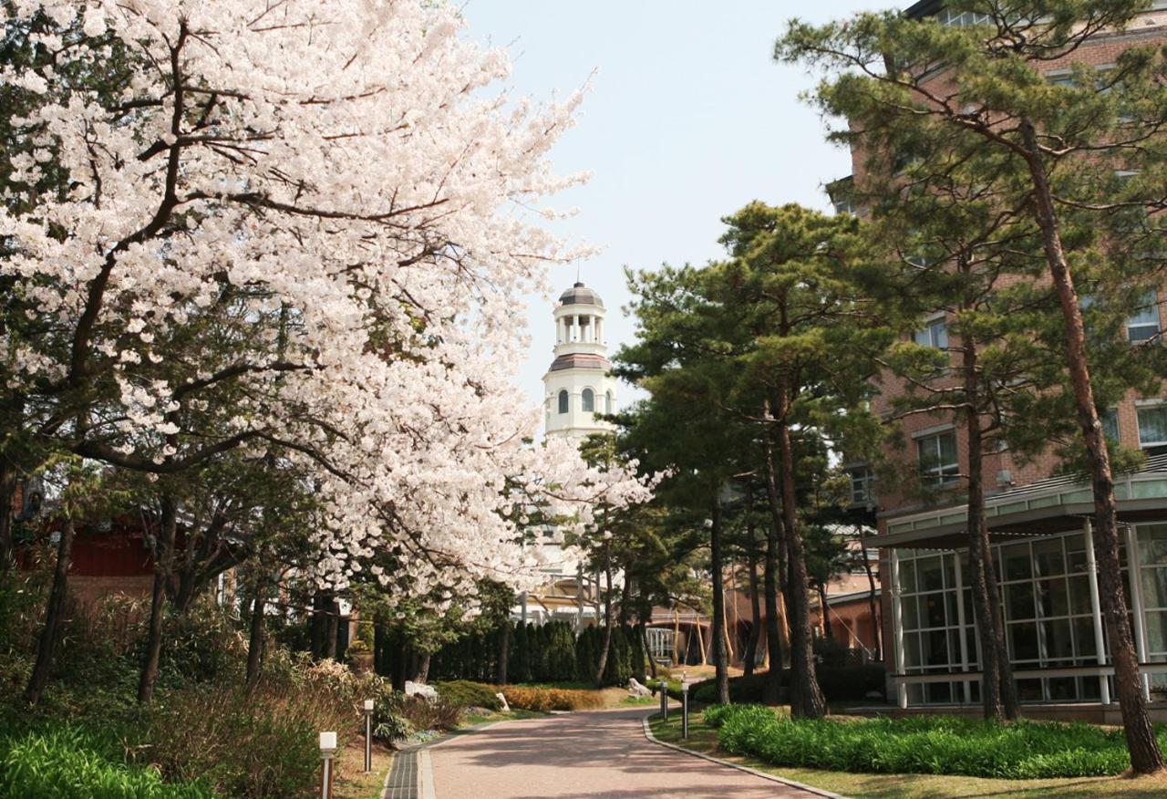 Mayfield Hotel Seoul Exterior foto